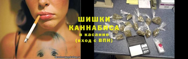 гидропоника Белокуриха