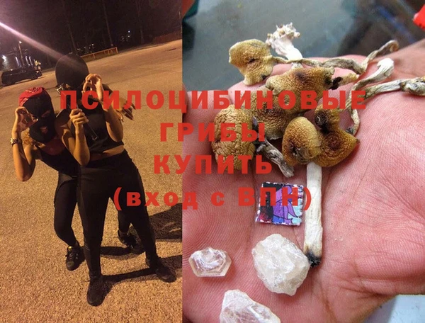 ГАЛЛЮЦИНОГЕННЫЕ ГРИБЫ Балахна