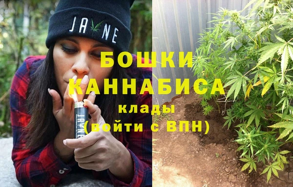 ГАЛЛЮЦИНОГЕННЫЕ ГРИБЫ Балахна