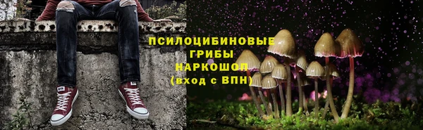 дмт Белоозёрский